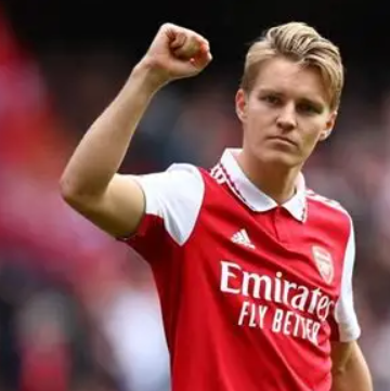 厄德高：傷病難阻夢想，見證挪威重返世界杯